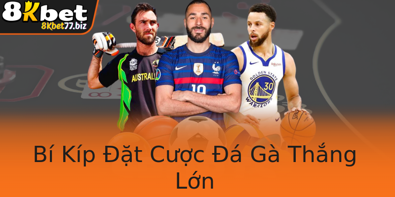 Bí Kíp Đặt Cược Đá Gà Thắng Lớn