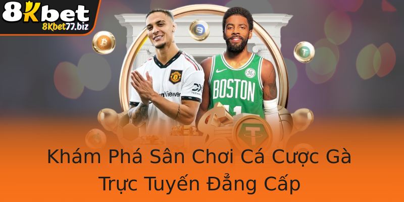 Khám Phá Sân Chơi Cá Cược Gà Trực Tuyến Đẳng Cấp Khám Phá Sân Chơi Cá Cược Gà Trực Tuyến Đẳng Cấp