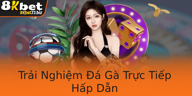 Trải Nghiệm Đá Gà Trực Tiếp Hấp Dẫn Trải Nghiệm Đá Gà Trực Tiếp Hấp Dẫn