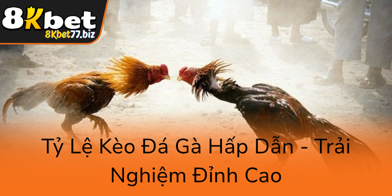 Đá Gà 8KBET - Trải Nghiệm Cá Cược Gà Đặc Sắc Với Nền Tảng Trực Tuyến Tối Ưu 2 Ty Le Keo Da Ga Hap Dan Trai Nghiem Dinh Cao0